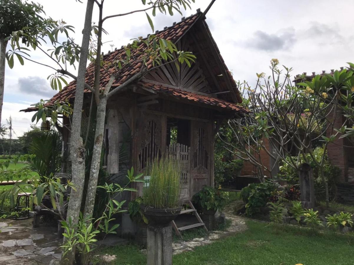 يوغياكارتا Legiyem Homestay المظهر الخارجي الصورة